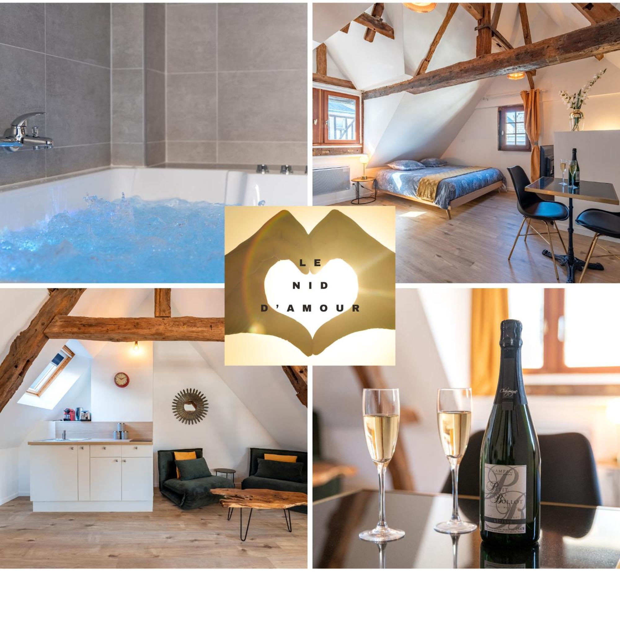 Apartment Centre-ville Le Nid D'amour Jacuzzi Rouen